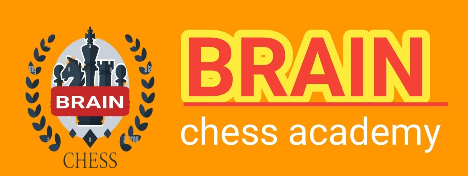 Brain Chess Academy
